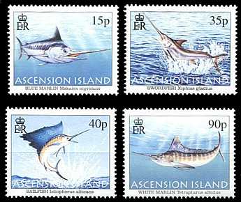 Ascension 2004 Schwertfische Satz