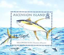 Ascension 2005 Thunfische Block