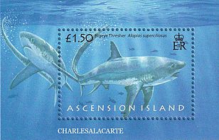 Ascension 2008 Haie Block