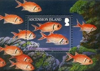 Ascension 2010 Fische Block