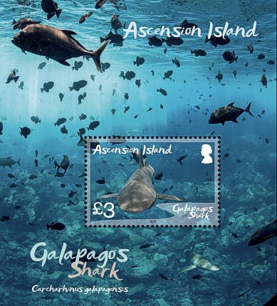 Ascension 2022 Galapagoshai Block