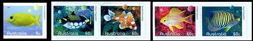 Australien 2010 Korallenfische Varianten