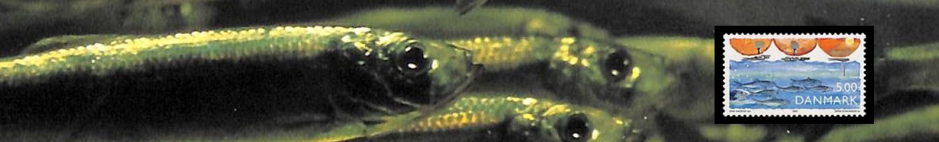 Naturschutz-Satz Dänemark 1992