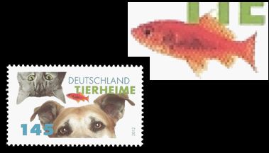 Tierheime Deutschland 2012 mit Goldfisch