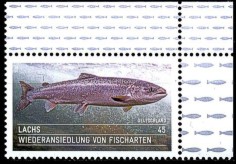 Wiederansiedlung von Fischarten Deutschland 2014