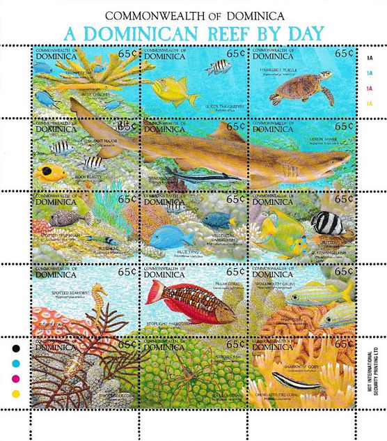 Korallenriff Tag Dominica 1992