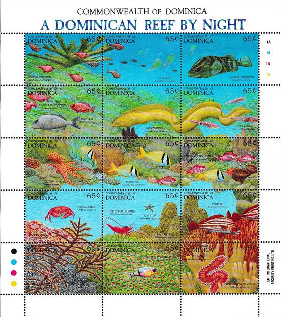 Korallenriff Nacht Dominica 1992