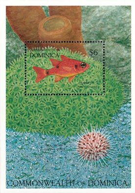Korallenriff Block Dominica 1992