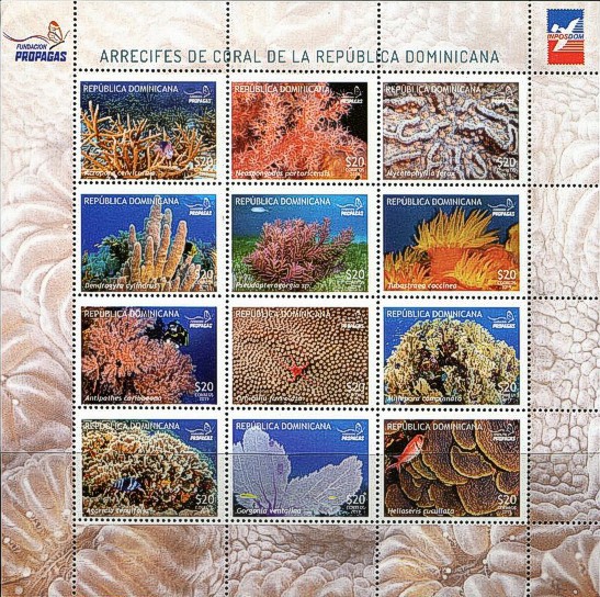 Korallen Kleinbogen Dominikanische Republik 2019