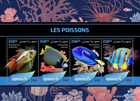 Naturkunde Kleinbogen Dschibuti 2019