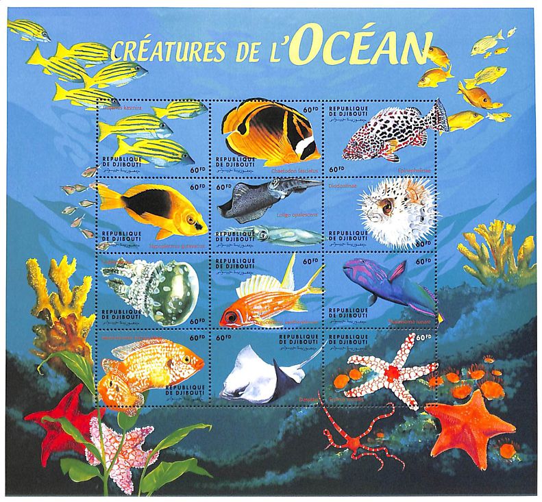 Tiere im Ozean Kleinbogen Dschibuti 2000