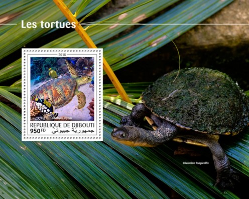 Schildkröten Block Dschibuti 2018