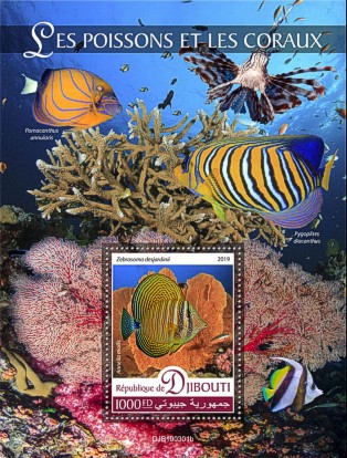 Fauna Block Dschibuti 2019