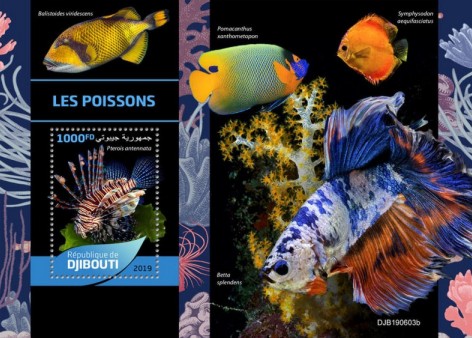 Naturkunde Block Dschibuti 2019