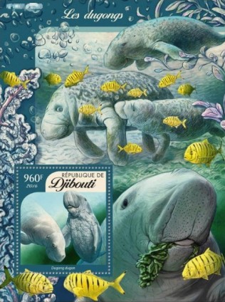 Fauna Block Dschibuti 2016