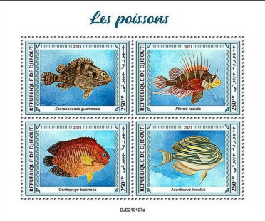 Fische Kleinbogen Dschibuti 2021