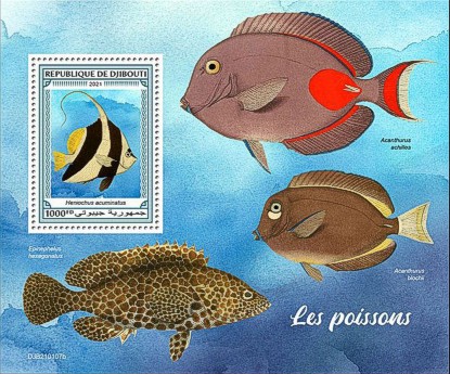 Fische Block Dschibuti 2021