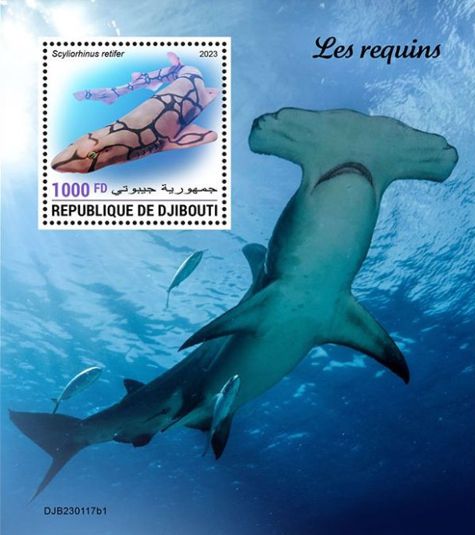 Haie Block Dschibuti 2023