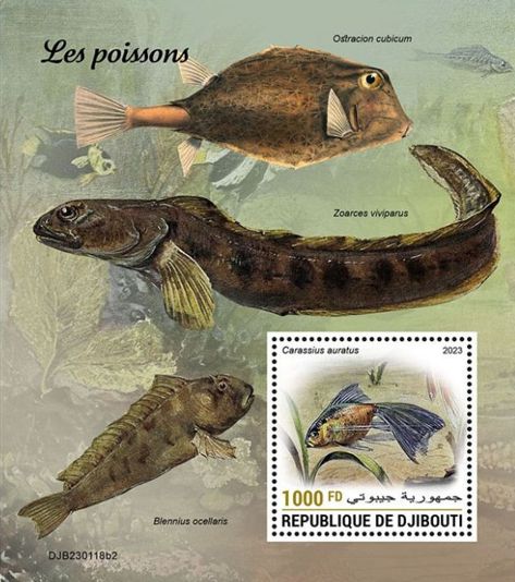 Fische Block Dschibuti 2023