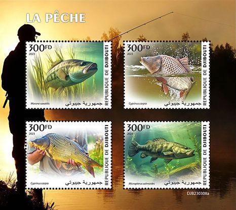 Fischfang Kleinbogen Dschibuti 2023