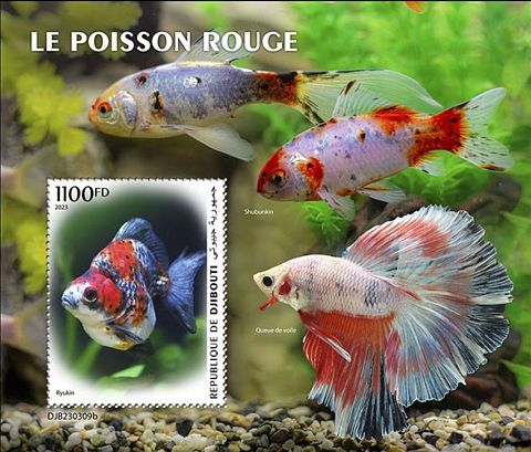 Goldfische Block Dschibuti 2023