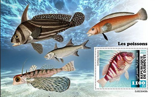 Fische Block Dschibuti 2023