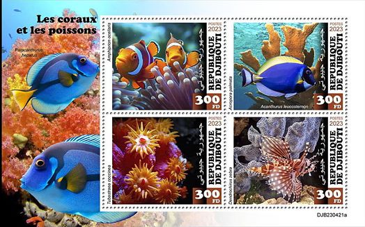 Korallen und Fische Kleinbogen Dschibuti 2023
