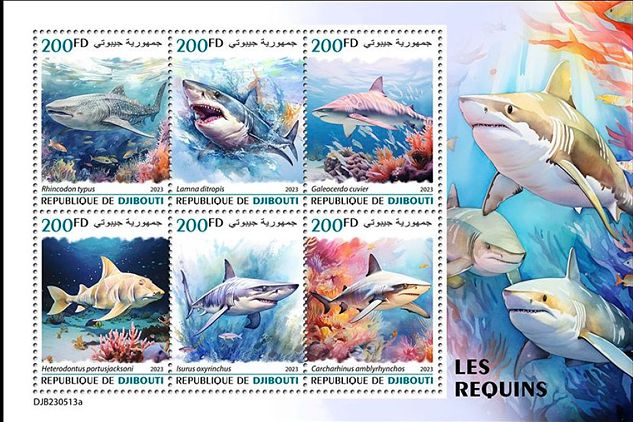 Haie Kleinbogen Dschibuti 2023