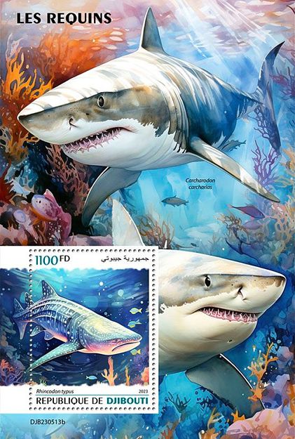 Haie Block Dschibuti 2023