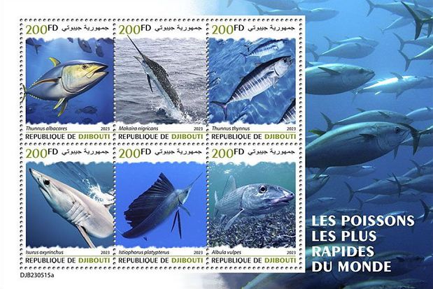 Die schnellsten Fische der Welt Kleinbogen Dschibuti 2023