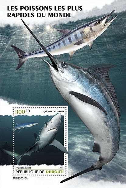 Die schnellsten Fische der Welt Block Dschibuti 2023