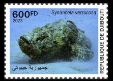 Steinfisch Marke Dschibuti 2023