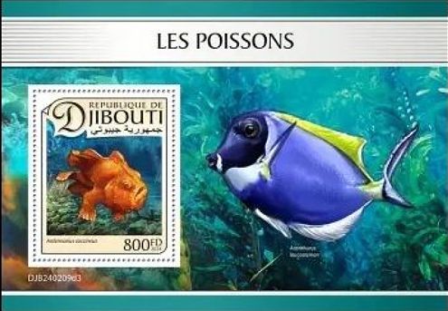 Fische Block Dschibuti 2024