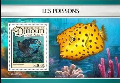 Fische Block Dschibuti 2024