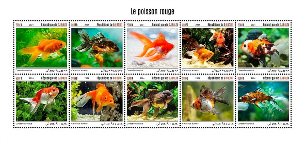 Goldfische Kleinbogen Dschibuti 2024
