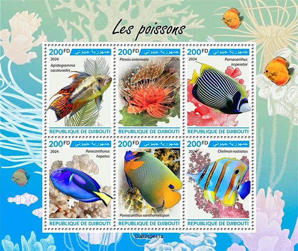 Korallenfische Kleinbogen Dschibuti 2024