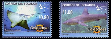Ecuador 2008 Galapagos Tiere Fische