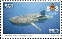 Ecuador 2018 Universität Quito Kleinbogen