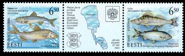 Estland 2000 Fischsatz