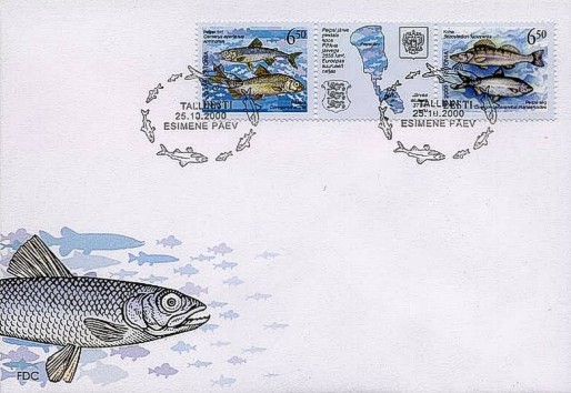 Estland 2000 FDC