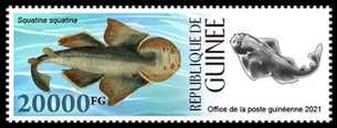 Einzelmarke Guinea 2021 mit einem Engelhai (Squatina squatina)