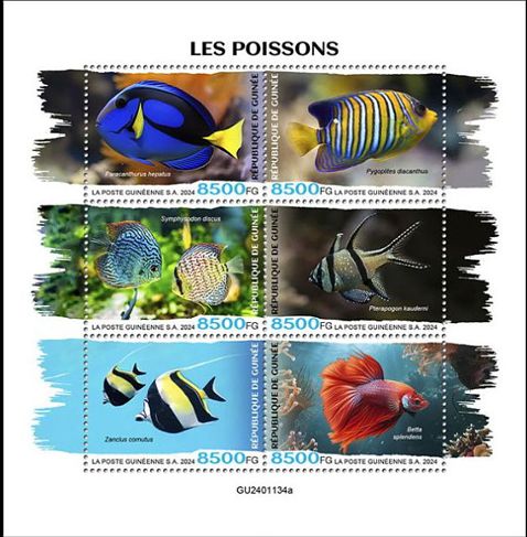 Kleinbogen Fische Guinea 2024