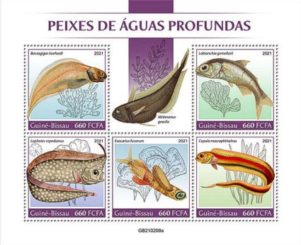 Fische Kleinbogen Guinea Bissau 2021