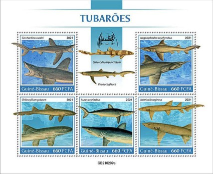 Fische Kleinbogen Guinea Bissau 2021