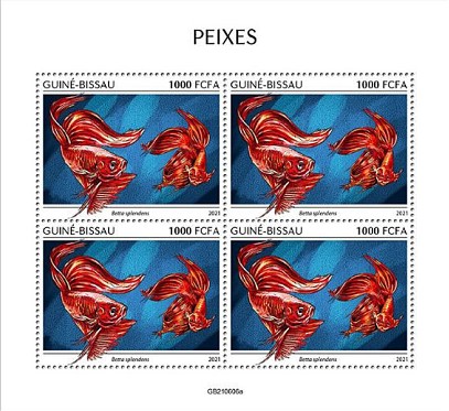 Fische Kleinbogen Guinea Bissau 2021
