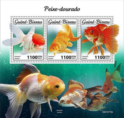 Goldfische-Zuchtformen Kleinbogen Guinea Bissau 2021