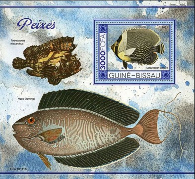 Fische Block Guinea Bissau 2021 mit einem Halsband-Falterfisch (Chaetodon collare)