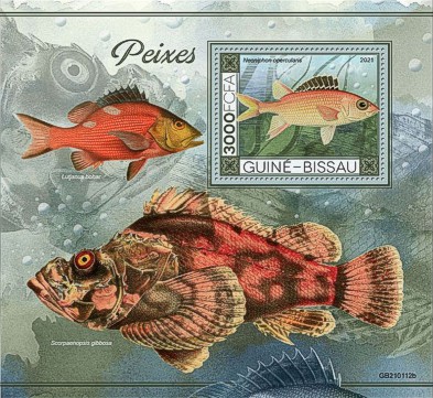 Fische Block Guinea Bissau 2021 mit einem Schwarzflossen-Husarenfisch (Neoniphon opercularis)
