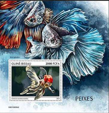 Guinea Bissau Block mit einer Goldfisch-Zuchtform (Carassius auratus auratus)