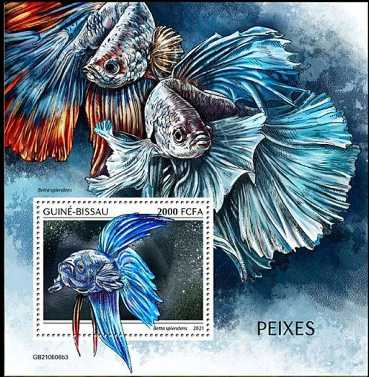 Guinea Bissau Block mit einem Siamesischen Kampffisch (Betta splendens)